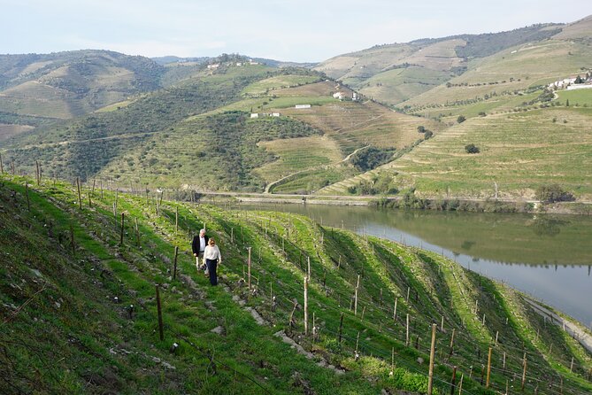 Douro Valley private tour with wine tasting and boat tour - The 9-hour timing and what it feels like in real life