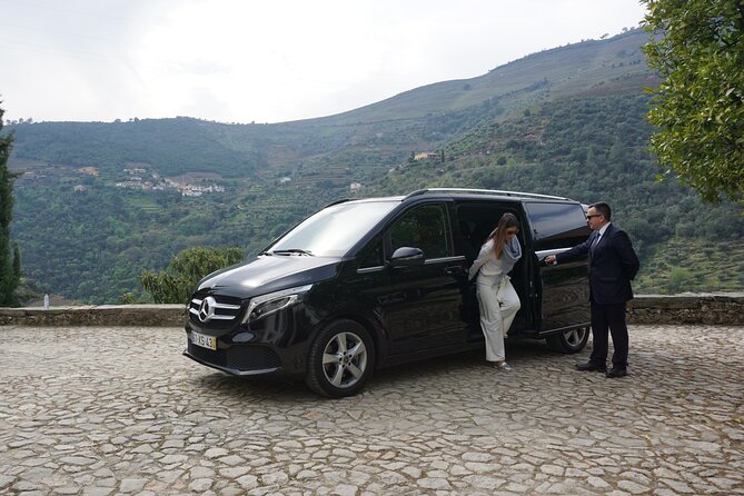 Douro Valley private tour with wine tasting and boat tour - The quick photo stop at Ponte de São Gonçalo