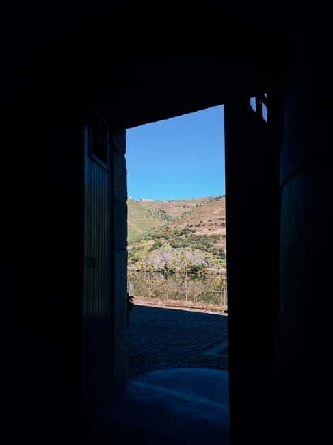 Douro Valley: PRIVATE TOURS with 1 Wine Tasting - From Porto to the Douro: pickup and the day’s pace
