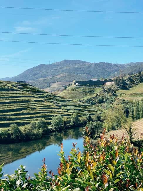 Douro Valley: PRIVATE TOURS with 1 Wine Tasting - Should you book this private Douro tour with 1 wine tasting?