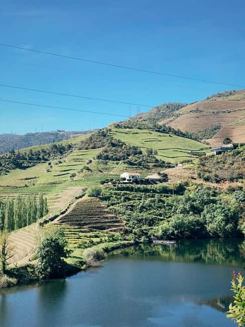 Douro Valley: PRIVATE TOURS with 1 Wine Tasting - One local quinta visit: the tasting experience you’re really paying for