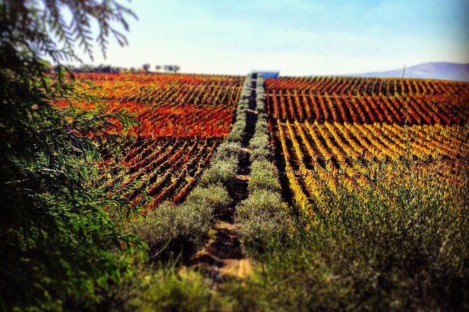 Douro Valley — Private UNESCO Wine & Cultural Experience - Key highlights you should care about