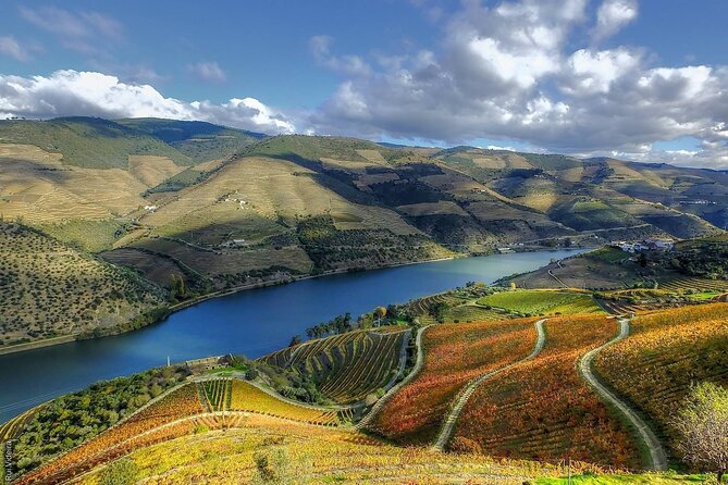 Douro Valley — Private UNESCO Wine & Cultural Experience - Quinta visits and wine tasting: how to get more from each pour