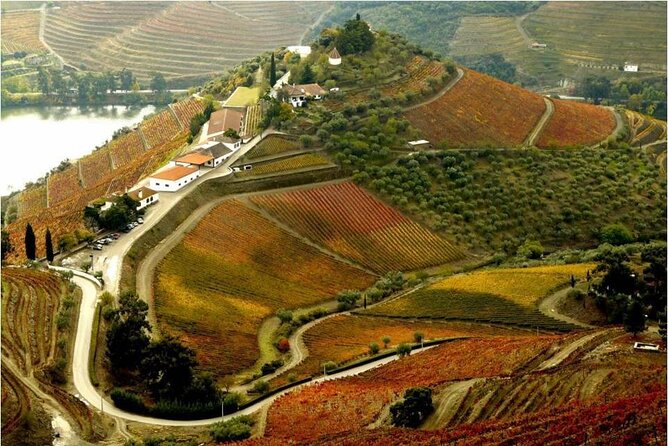 Douro Valley — Private UNESCO Wine & Cultural Experience - Lunch with roasted lamb: fueling a long tasting day