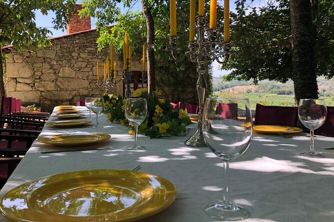 Douro Valley — Private UNESCO Wine & Cultural Experience - Price and logistics: what $583.99 buys you (and what it doesn’t)