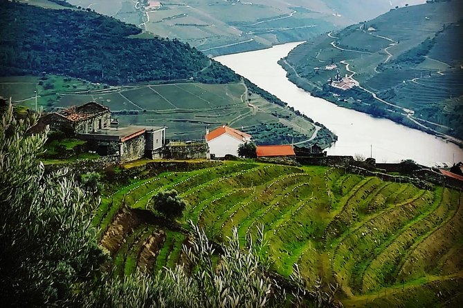 Douro Valley Private Wine and Food Tour From Porto - From Porto to Pinhão, Here’s How This Private Douro Day Works
