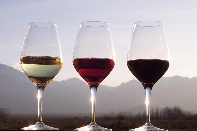 Douro Valley Private Wine and Food Tour From Porto - Casal de Loivos Viewpoint: The Quick Stop That Gives You Breathing Room