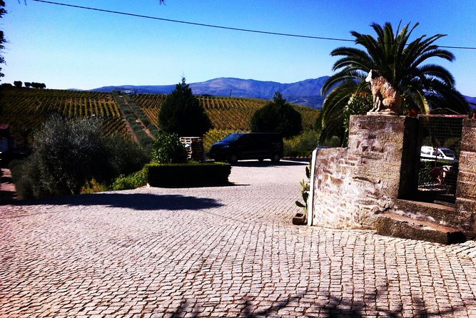 Douro Valley Private Wine and Food Tour From Porto - Pinhão Lunch Time: What You Need to Know Before You Budget