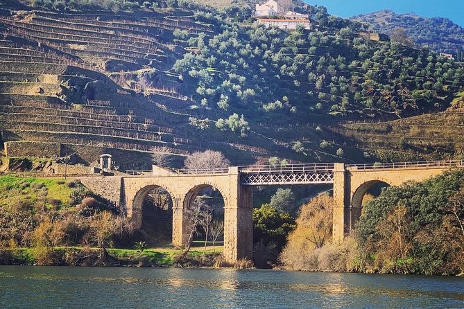 Douro Valley Private Wine and Food Tour From Porto - Private Transportation from Porto: The Comfort That Makes It Worth It