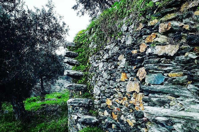 Douro Valley Private Wine and Food Tour From Porto - Value for $217.69: What You’re Paying For, and What You Should Budget