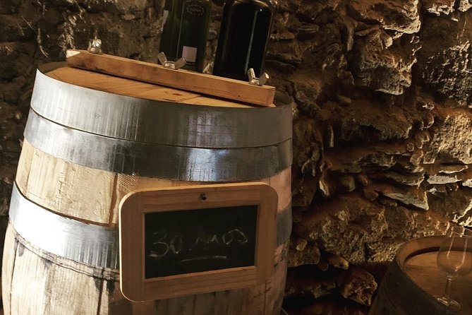 Douro Valley Private Wine and Food Tour From Porto - How to Get the Most Out of 6 to 9 Hours in the Douro