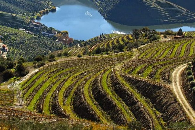 Douro Valley Private Wine Tour From Lisbon - Door-to-Douro: Lisbon pickup and the long climb into the Douro