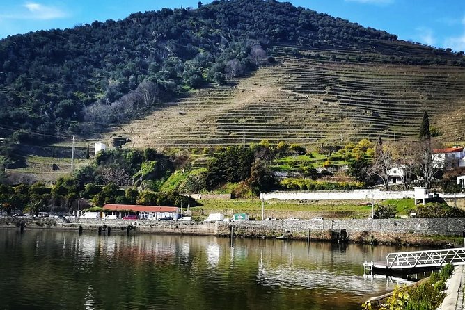 Douro Valley Private Wine Tour From Lisbon - Guides and pacing: why the private label can still feel small