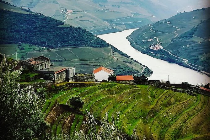 Douro Valley Private Wine Tour From Lisbon - What you’ll pay for: value at $434.46 and the extras that add up