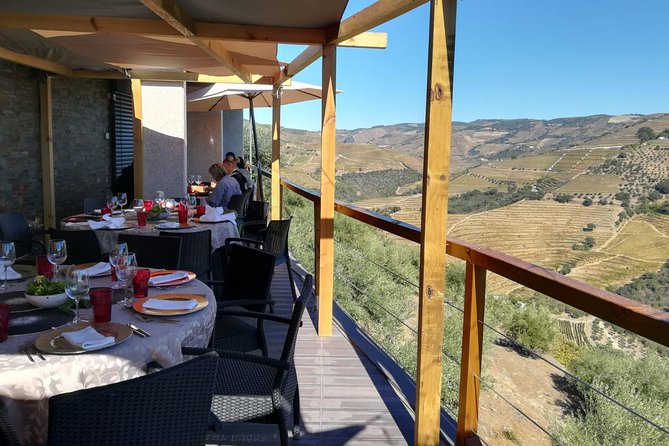 Douro Valley Private Wine Tour From Lisbon - Who this Douro private tour fits best