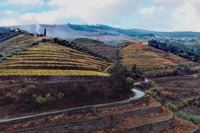 Douro Valley Private Wine Tour From Lisbon - Should you book this Douro Valley Private Wine Tour from Lisbon?