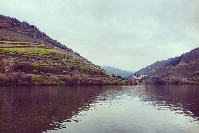 Douro Valley Private Wine Tour From Lisbon - Pinhão time: lunch window, port, table wines, and a traditional farm visit