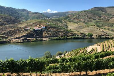 Douro Valley private wine tour | tastings and lunch included