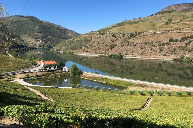 Douro Valley private wine tour | tastings and lunch included - Price and value: what $313.35 includes (and what it really buys you)