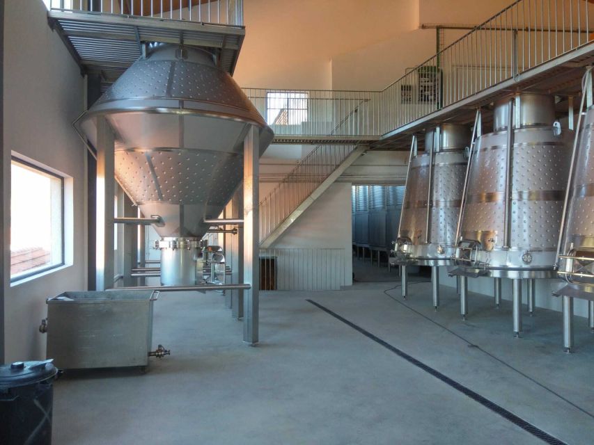 Douro Valley: Quinta de S. Luiz Winery Tour and Tasting - Why Quinta de S. Luiz Makes a Short Douro Stop Worth It