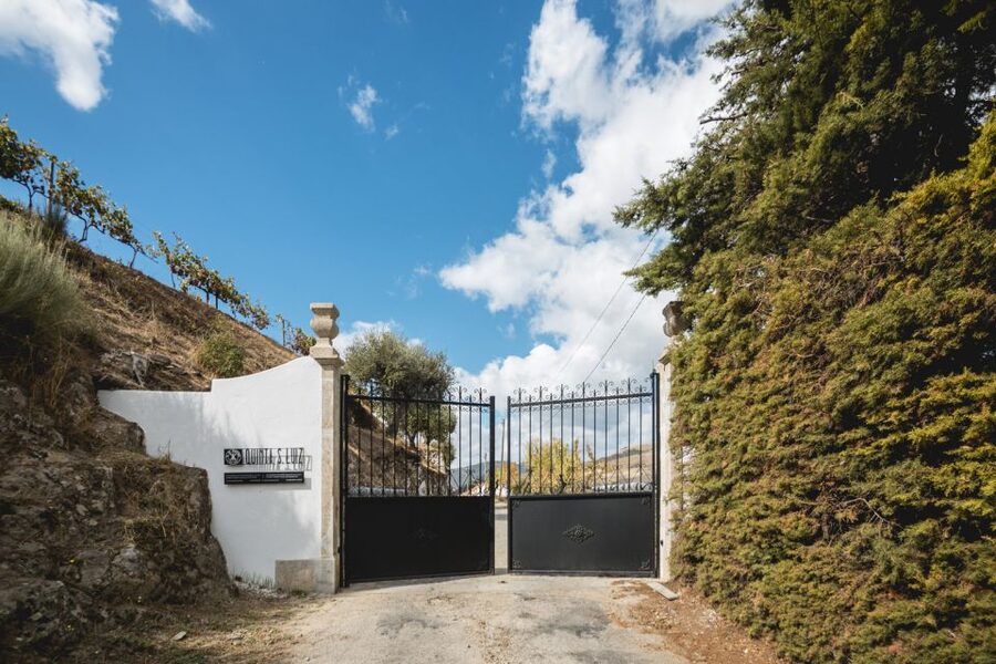 Douro Valley: Quinta de S. Luiz Winery Tour and Tasting - What the 1-Hour Format Feels Like on the Ground