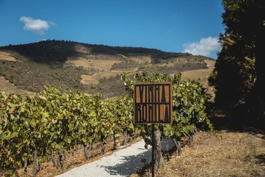 Douro Valley: Quinta de S. Luiz Winery Tour and Tasting - Should you book Quinta de S. Luiz for your Douro day?