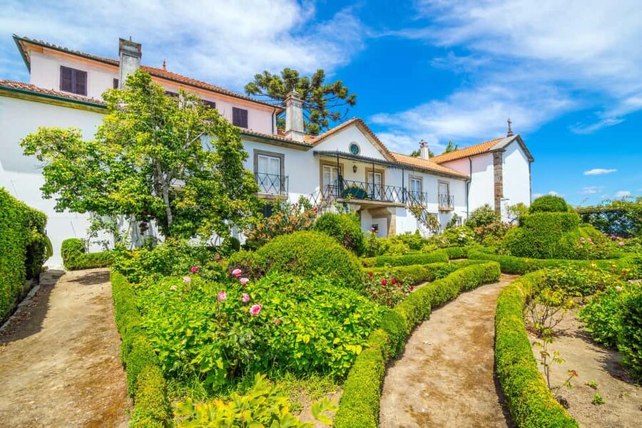 Douro Valley: Quinta Santa Júlia Tour, Wine Tasting & Lunch - Who this tour suits best (and who might want a different option)