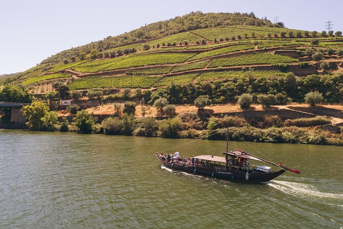Douro Valley: Rabelo Boat Tour with Port Wine & Audio Guide - Boat comfort, washroom cleanliness, and pet-friendly details that matter