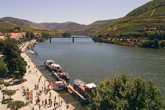Douro Valley: Rabelo Boat Tour with Port Wine & Audio Guide - Timing, weather, and how to show up prepared
