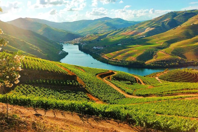 Douro Valley - Relaxed Departure from Porto - Key highlights worth your attention