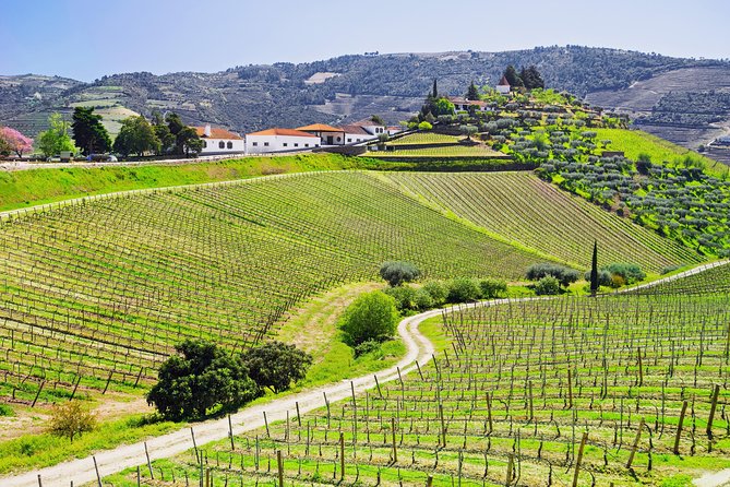 Douro Valley - Relaxed Departure from Porto - A full Douro day, starting in Porto at 9:30