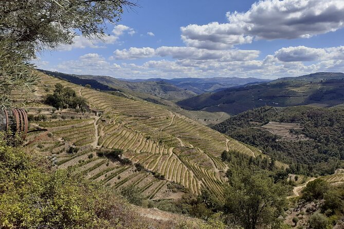 Douro Valley Small-Group Tour: 2 Wineries, Lunch, Optional Cruise - Lunch on the estates: the part many people underestimate