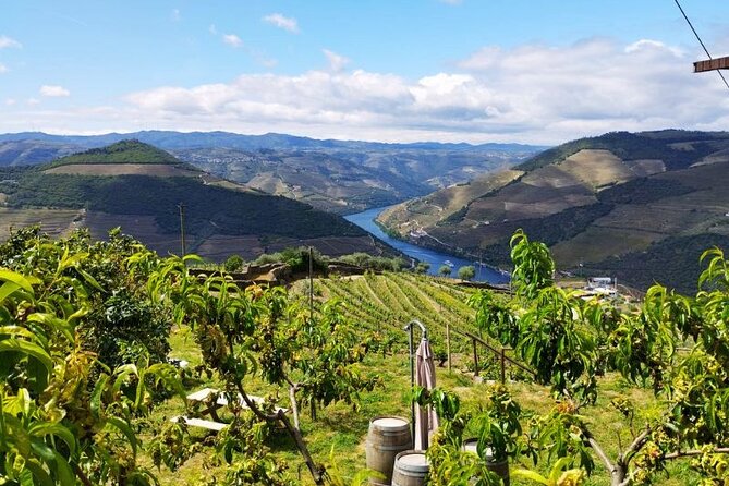 Douro Valley Small-Group Tour: 2 Wineries, Lunch, Optional Cruise - Price check: does $187.05 per person make sense?