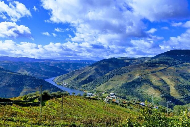 Douro Valley Small-Group Tour: 2 Wineries, Lunch, Optional Cruise - Who this small-group Douro Valley day trip is best for