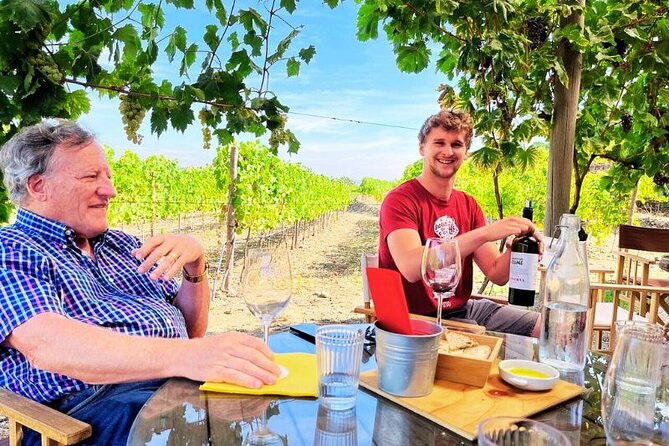 Douro Valley Small-Group Tour: 2 Wineries, Lunch, Optional Cruise - First stop: the Douro Valley time window and how to get value from it