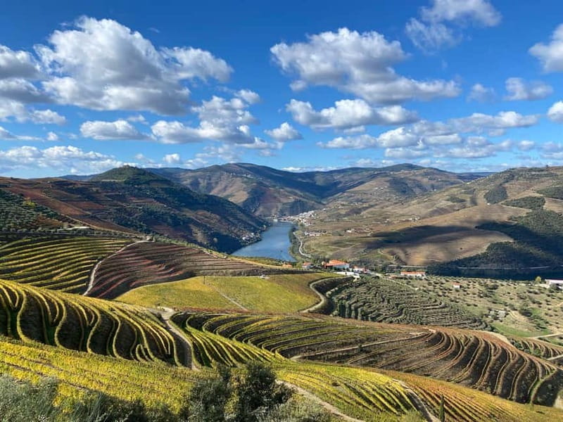 Douro Valley: Small-Group Tour, Winery's Lunch, Private Boat - N222 return and drop-offs: plan a late dinner, not an early one