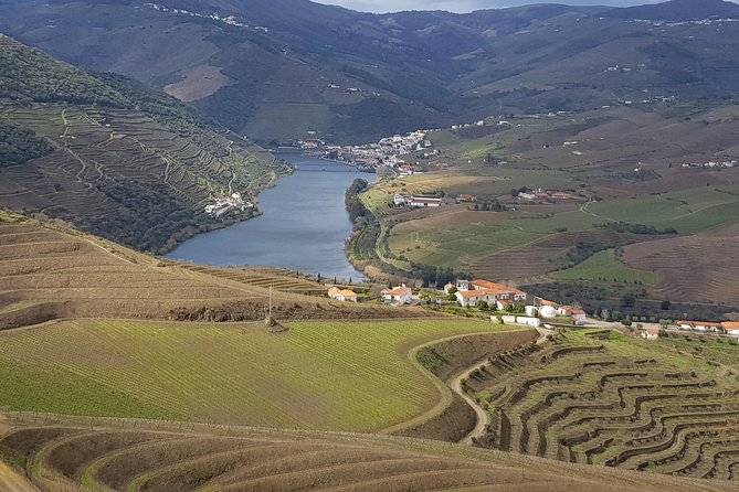 Douro Valley Tour: 2 Vineyard Visits, River Cruise, Winery Lunch - Key things that make this Douro day work