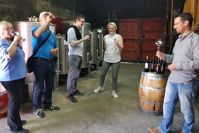 Douro Valley Tour: 2 Vineyard Visits, River Cruise, Winery Lunch - A Douro Day From Porto: What You’re Really Paying For