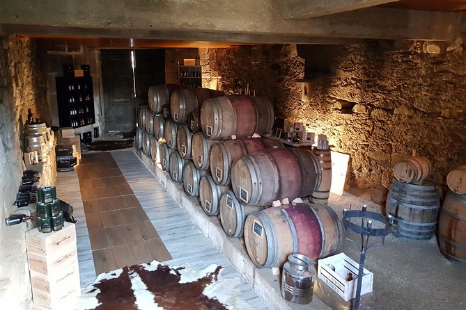 Douro Valley Tour: 2 Vineyard Visits, River Cruise, Winery Lunch - Stop 1 in Lamego: Family Vineyard Tasting With the Terraces in View
