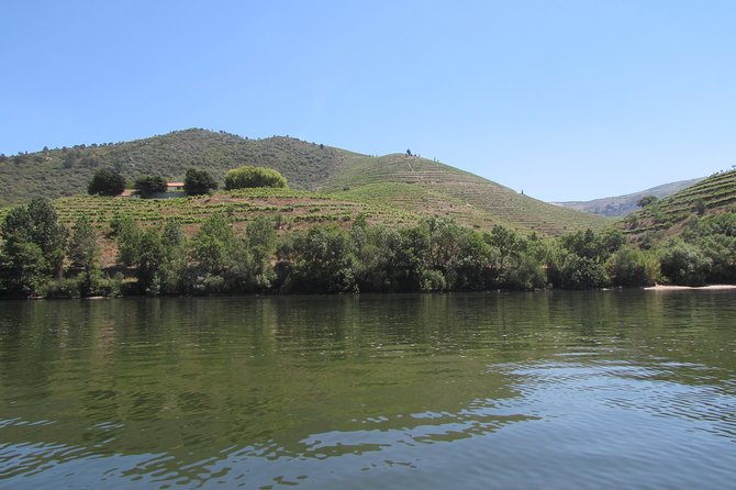 Douro Valley Tour: 2 Vineyard Visits, River Cruise, Winery Lunch - Getting There: The Porto to Douro Drive and Motion-Sickness Reality