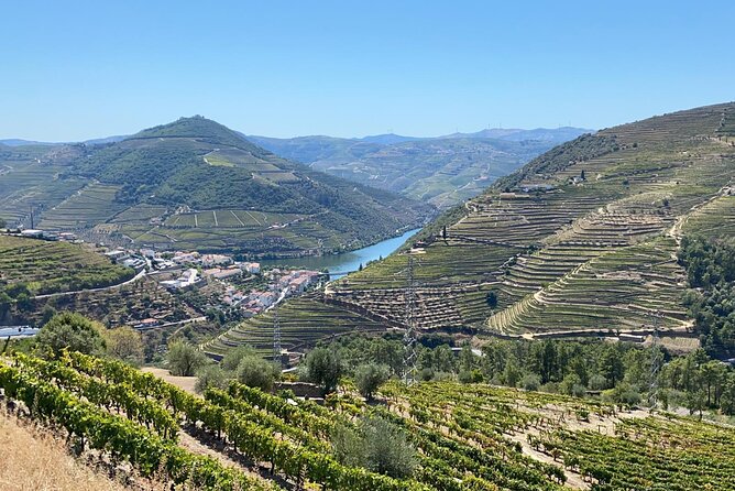 Douro Valley Tour - 3 Wine tastings, Lunch & river Cruise - The Port education finish with 10, 20, and 30 year-old bottles