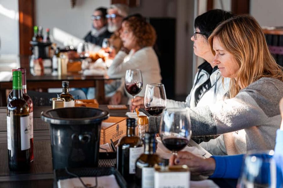 Douro Valley Tour: Visit 2 Wineries, Lunch & River Cruise - Should You Book This Douro Valley Tour?