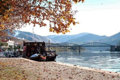 Douro Valley Tour: Visit 2 Wineries, Lunch & River Cruise