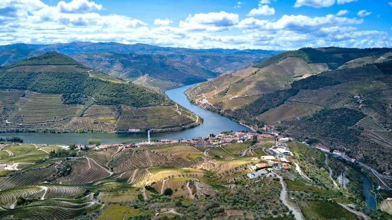 Douro Valley Tour: Visit 2 Wineries, Lunch & River Cruise - DOC Douro and Port Tastings: Knowing What You Like Fast