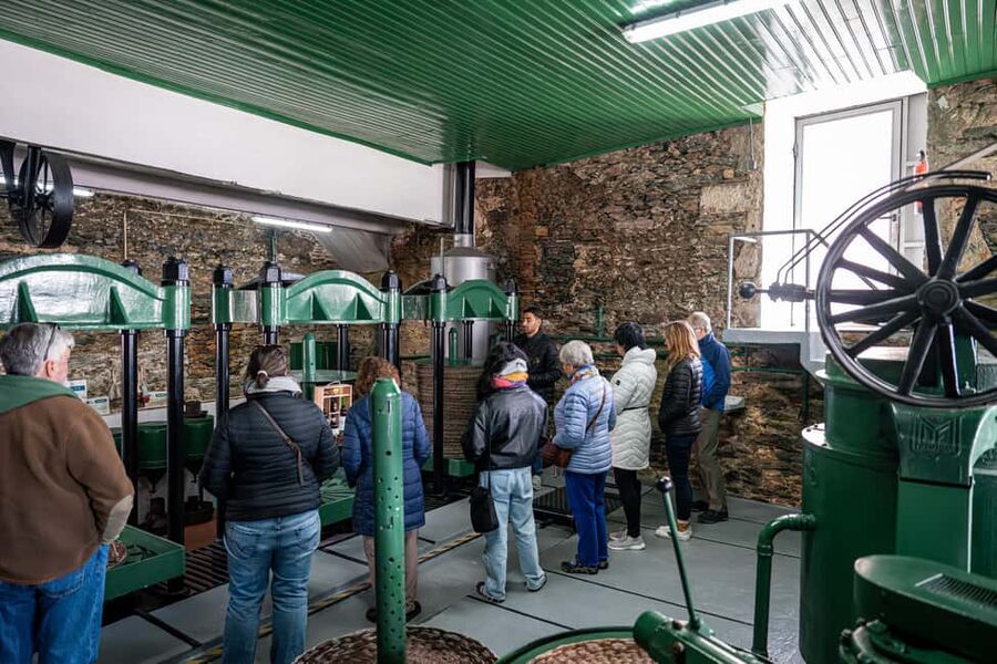 Douro Valley Tour: Visit 2 Wineries, Lunch & River Cruise - Pinhão River Cruise: The Best Pace Reset in the Middle of the Day