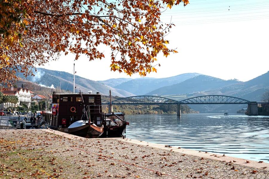 Douro Valley Tour: Visit 2 Wineries, Lunch & River Cruise - The N222 Scenic Drive: Why the Views Feel Built-In