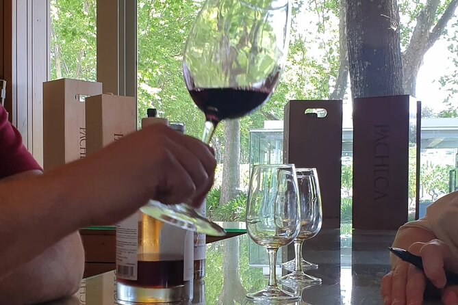Douro Valley Tour Wine and breathtaking views - Key things that make this Douro Valley wine day trip work