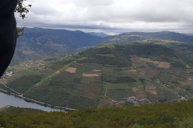 Douro Valley Tour Wine and breathtaking views - Quinta Seara dOrdens: a 1792 family estate and a five-wine tasting focus
