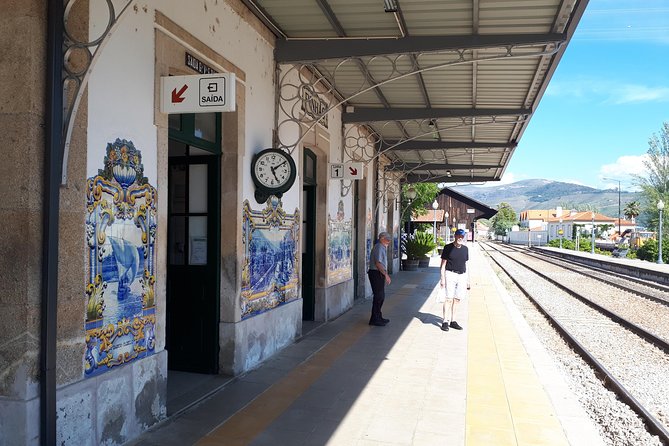 Douro Valley Tour (wine & Food) - Key things to know before you go