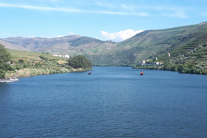 Douro Valley Tour (wine & Food) - Why the Douro Valley day works so well from Porto